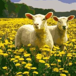 oil painting by numbers sheep and flower picture acrylic handmaded painting on canvas GX6985 paintboy brand