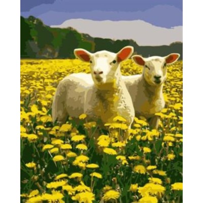 Pintura al óleo por números oveja y imagen de la flor de acrílico handmaded pintura en la lona GX6985 paintboy marca