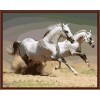 acrylic running horse picture oil painting by numbers on canvas GX6507