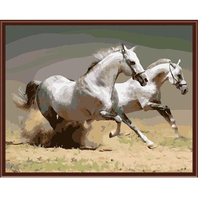 Acrílico running horse imagen pintura al óleo by números en la lona GX6507