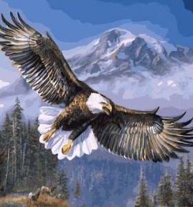 diy canvas painting by numbers acrylic oil painting for bedroom GX7134 2015 new hot animal eagle photo