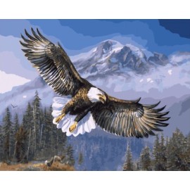 diy leinwand gemälde nach zahlen acryl Ölmalerei für schlafzimmer gx7134 2015 neue heiße tier Adler foto