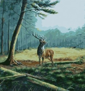 diy canvas painting by numbers acrylic oil painting for bedroom GX7133 2015 new hot animal deer photo