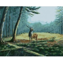 diy canvas painting by numbers acrylic oil painting for bedroom GX7133 2015 new hot animal deer photo