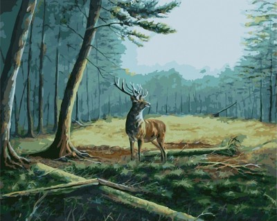 diy canvas painting by numbers acrylic oil painting for bedroom GX7133 2015 new hot animal deer photo