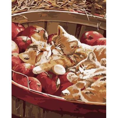 Handmaded pintura de acrílico en la lona GX6793 diseño del gato pintura by número