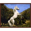 oil painting by numbers yiwu paint boy brand factory new design horse picture GX6844