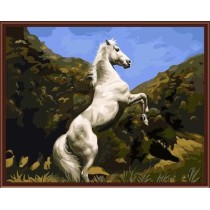 oil painting by numbers yiwu paint boy brand factory new design horse picture GX6844