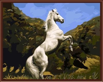 oil painting by numbers yiwu paint boy brand factory new design horse picture GX6844