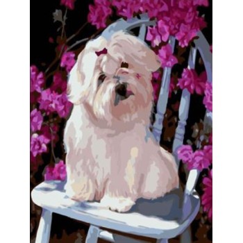 abstract canvas oil painting by numbers with dog picture yiwu wholesales GX6944 paint boy brand