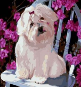 Pintura al óleo abstracta by números con imagen del perro yiwu ventas al por mayor GX6944 pintura marca del muchacho
