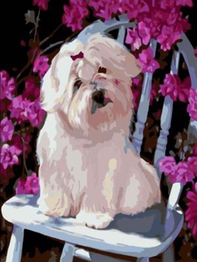 abstract canvas oil painting by numbers with dog picture yiwu wholesales GX6944 paint boy brand