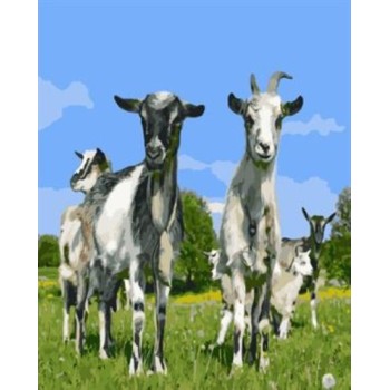 oil painting by numbers sheep picture acrylic handmaded painting on canvas GX6987 paintboy brand