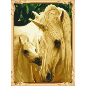 2015 new products hot horse photo abstract paint by numbers for adults GX7289
