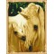 2015 new products hot horse photo abstract paint by numbers for adults GX7289