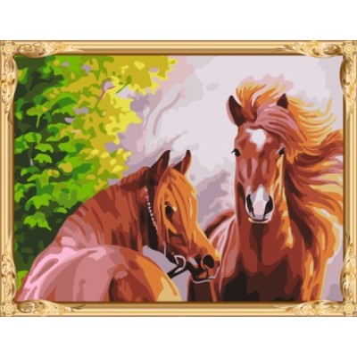 Gx7276 pared caliente del arte foto del caballo pintura digital diy by números de la decoración del hogar