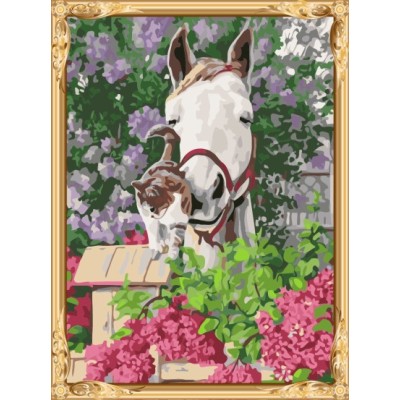 GX7267 hot horse photo diy oil painting by numbers for home decor