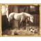 hot photo russian horse canvas oil painting for home decor GX7319