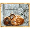 GX7342 Acrylic Paint diy oil painting by numbers with cat photo