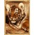 GX7272 new hot tiger photo oil painting by numbers for home decor