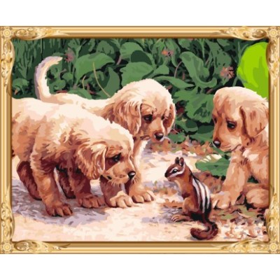 animal puppy diy paint by numbers kits for home decor GX7514