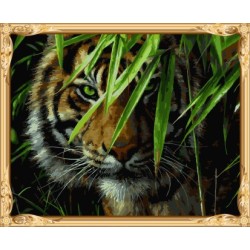 Gx7418 malen nach zahlen-sets tiger foto leinwand Ölgemälde für wand-kunst