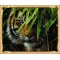 GX7418 paint by numbers kits tiger photo canvas oil painting for wall art