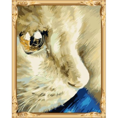 Gx7453 caliente foto gato absract pintura al óleo digital de la decoración del hogar