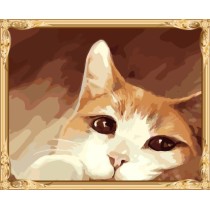 GX7452 hot photo cat digita oil painting for home decor