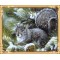hot photo animal squirrel oil paint by numbers for adults GX7549