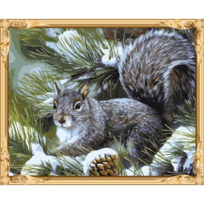 heißen foto tier eichhörnchen Öl malen nach zahlen für erwachsene gx7549
