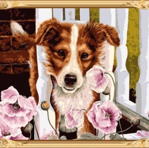pre printed canvas to paint dog painting by numbers kits for bedroom decor GX7554