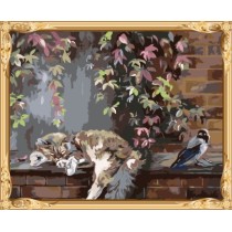 GX 7602 diy coloring by numbers cat and bird abstract wall paintings