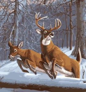 GX 7653 canvas oil painting by numbers deer art kits