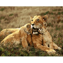 Gx 7658 acrílico by números tigre reproducciones de oleo