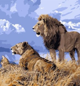 Gx 7659 león de acrílico color por números diy arte de la pintura
