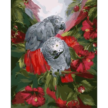 GX 7651 digital oil painting bird and flower art sets for adults