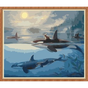 40x50cm delphin paintboy leinwand Öl malen nach zahlen gx7788