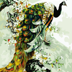 GX7906 paintboy DIY digital beautiful peacock paintings by numbers on canvas framed