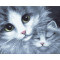 GX7931 cat diy painting by numbers kit for bedroom