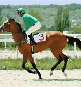 resumen de aceite pintura por número de yiwu gx6707 proveedores de arte corriendo de diseño del caballo