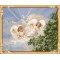 GX7399 2015 new hot angel photo paint by numbers for modern living room decor