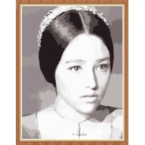 paintboy classical picture by numbers for wall art GX7805