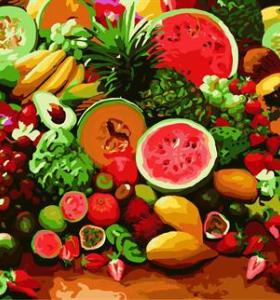 todavía la vida de diseño de frutas pintura al óleo por números gx6709