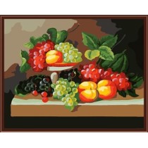 GX6821 2015 new still life oil painting by numbers fruit design