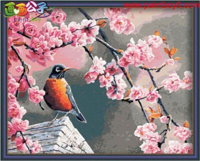 Best price Diy oil paint by numbers G041 flower and bird design painting jia cai tian yan brand