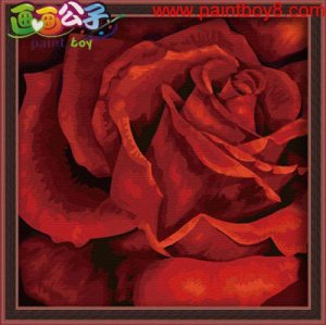 rose flower painting on canvas Paint sets for painting paint by numbers