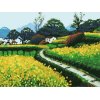 Diy oil pictures by numbers-oil painting beginner kit-canvas oil painting set-diy art set new beautiful flower