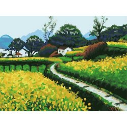 Diy Ölbilder nach zahlen- Ölgemälde für anfänger- Leinwand Ölgemälde set-diy kunst gesetzt neue schöne blume