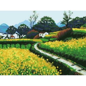 Diy Ölbilder nach zahlen- Ölgemälde für anfänger- Leinwand Ölgemälde set-diy kunst gesetzt neue schöne blume